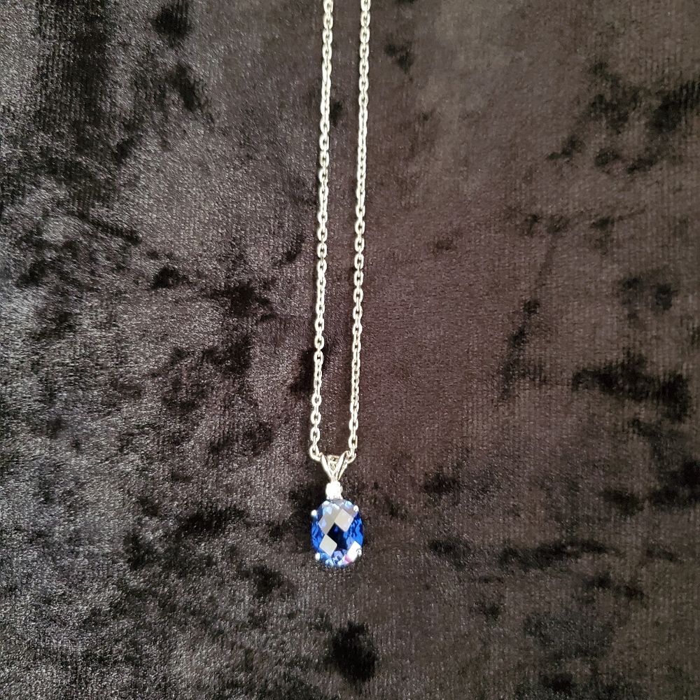 ♦️NWOT Silver & Sapphire Necklace